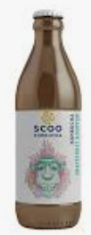 Kombucha Brands
